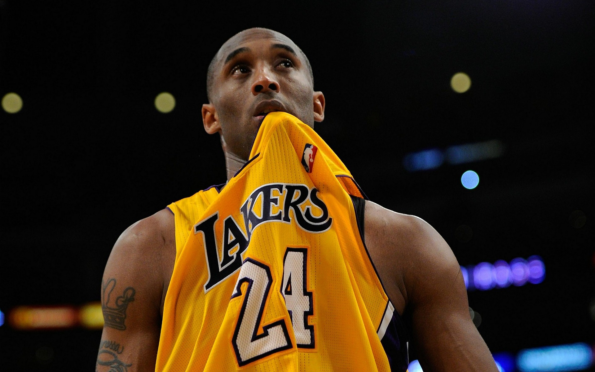 体育事业的 体育事业的