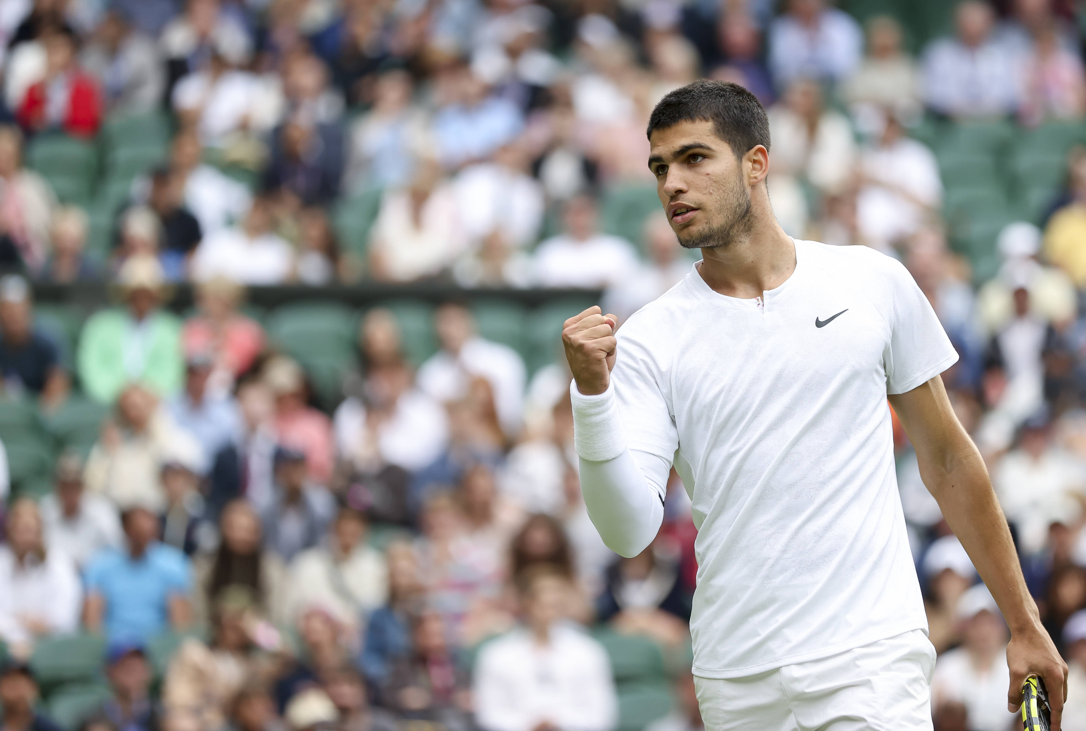 的典型样本 的典型样本