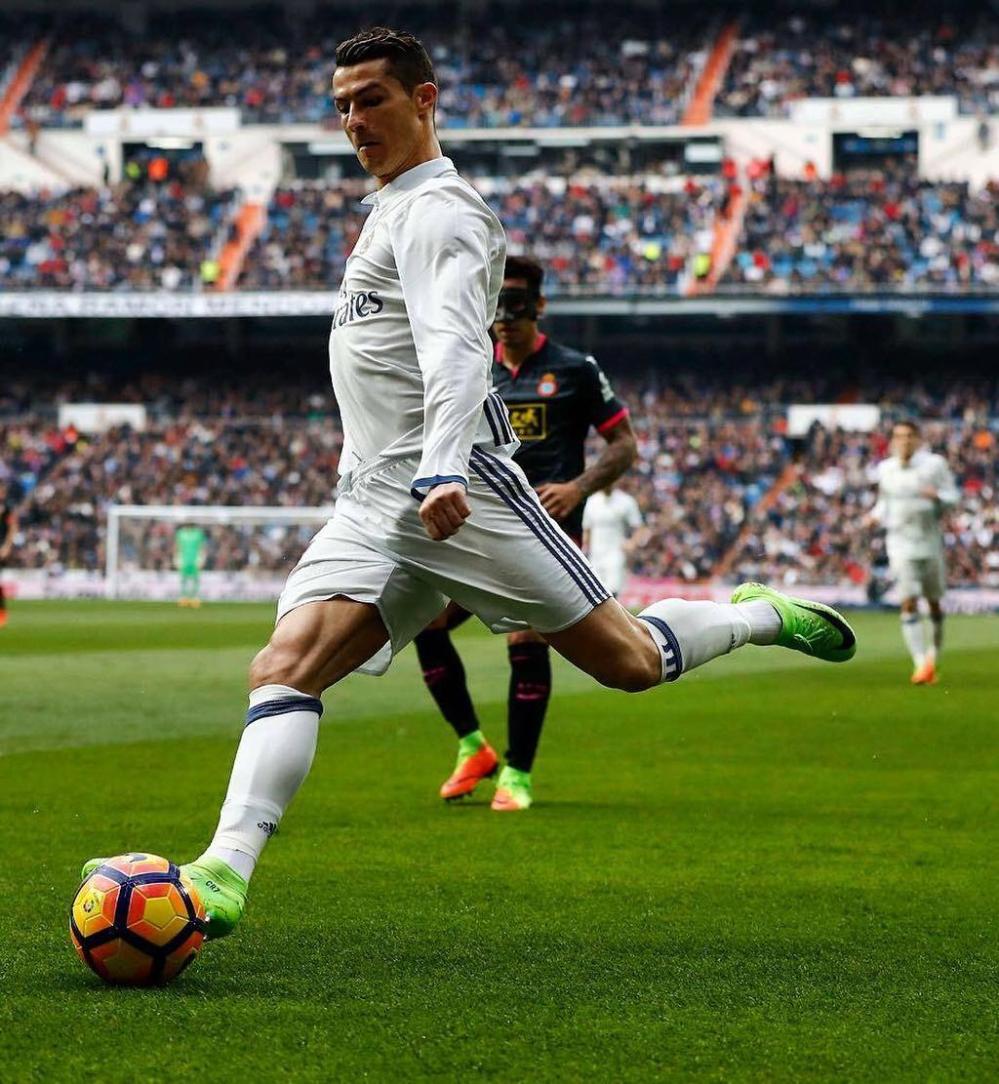 成长窗口的 成长窗口的